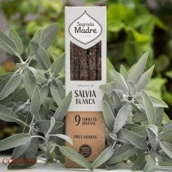 INCIENSOS SALVIA BLANCA HIERBAS SAGRADA MADRE